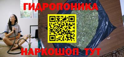 крисы Сланцы