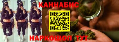 крисы Славгород